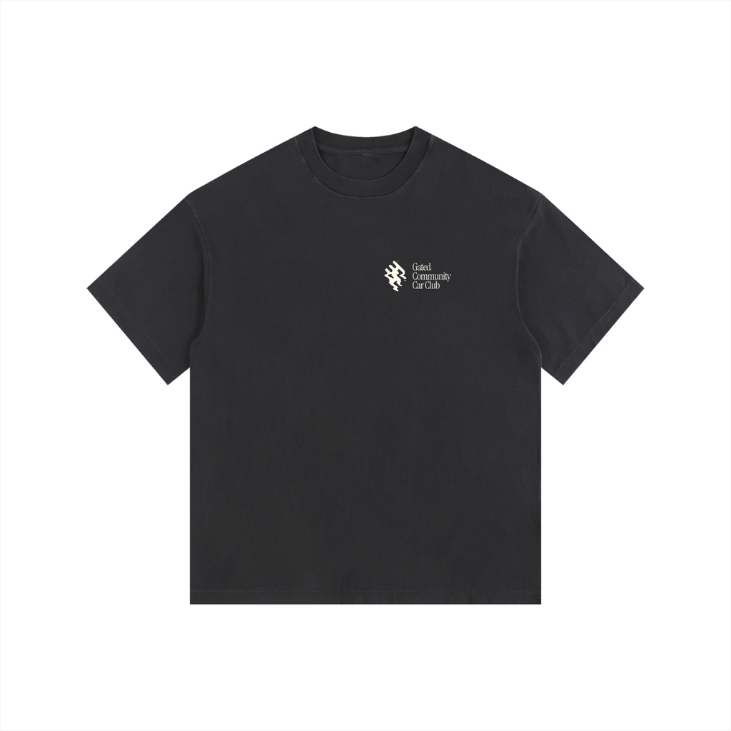 Vintage Washed "Did You Know" Tee - Light