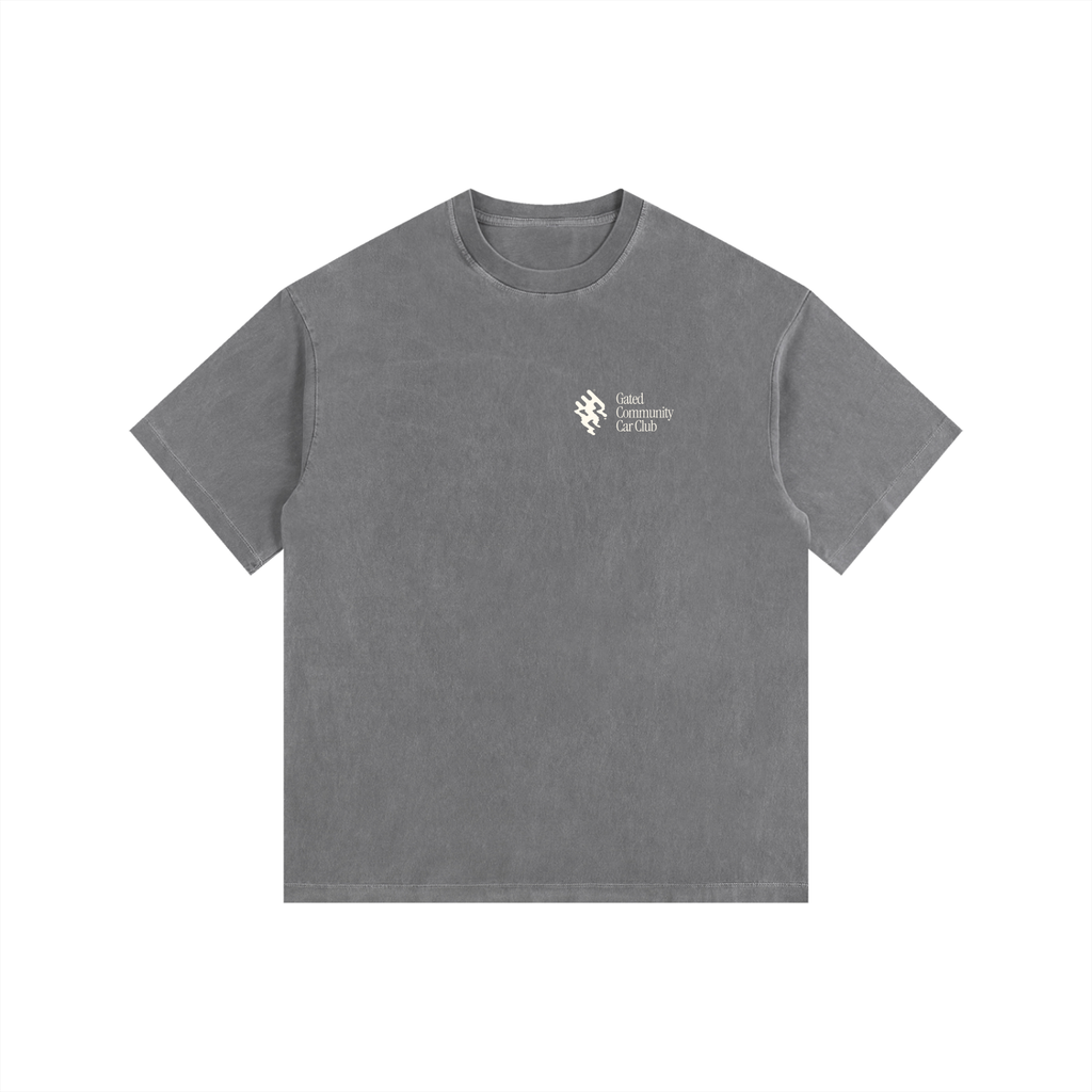 Vintage Washed "Did You Know" Tee - Light