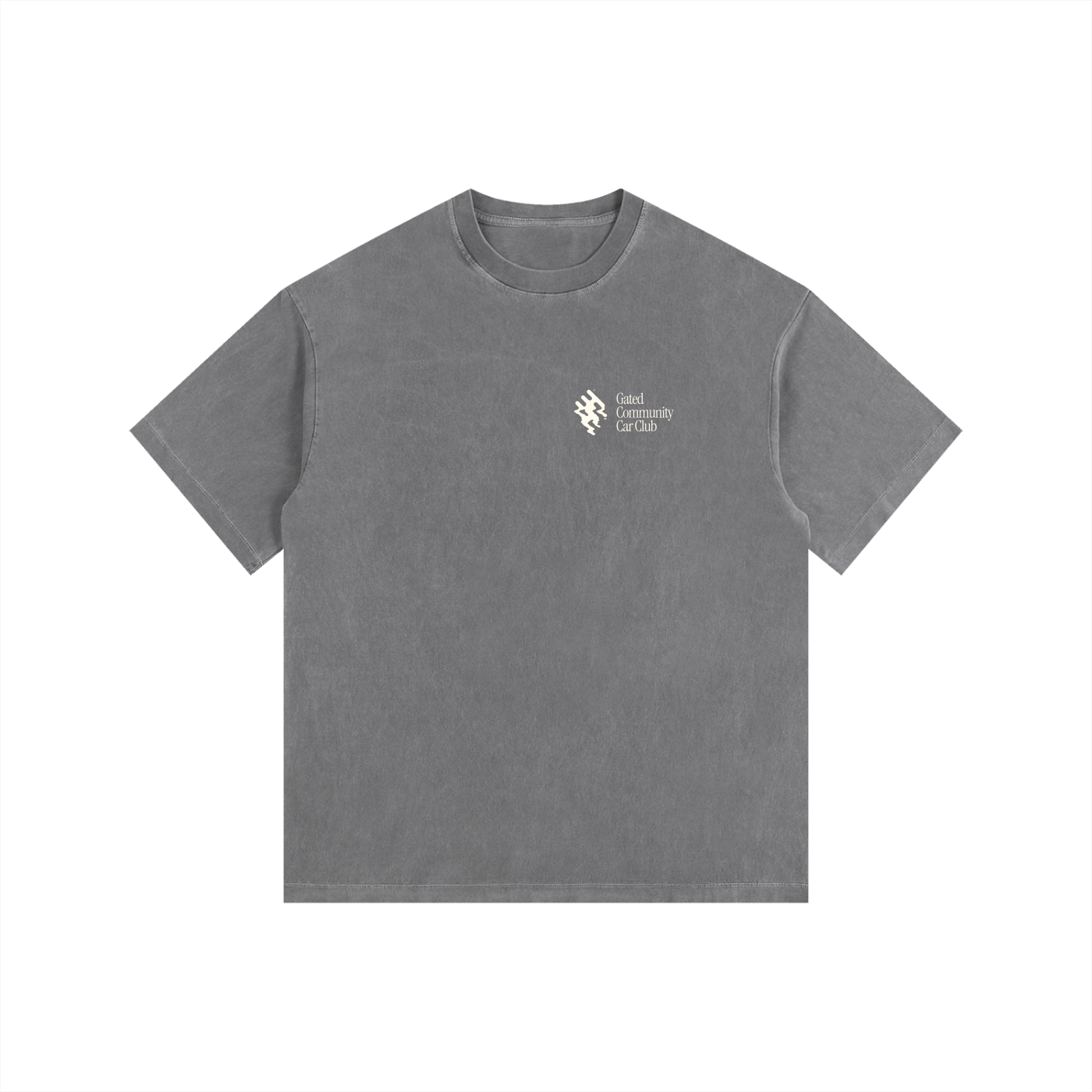 Vintage Washed "Did You Know" Tee - Light