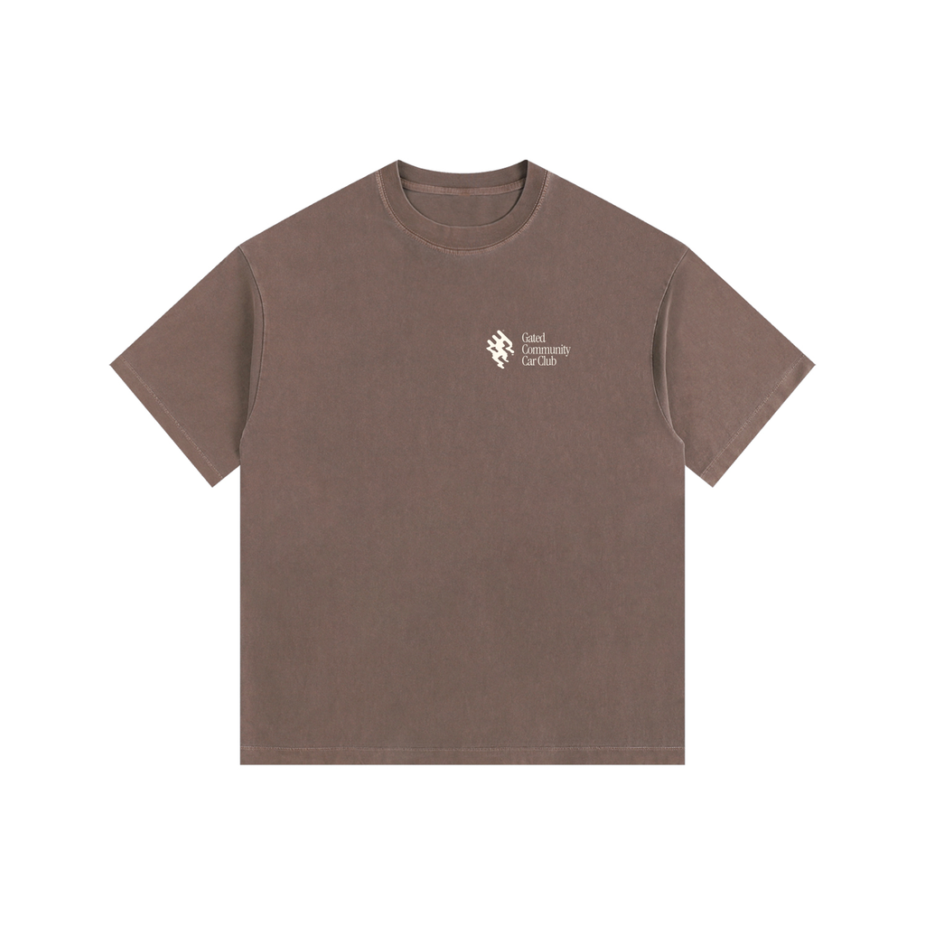 Vintage Washed "Did You Know" Tee - Light
