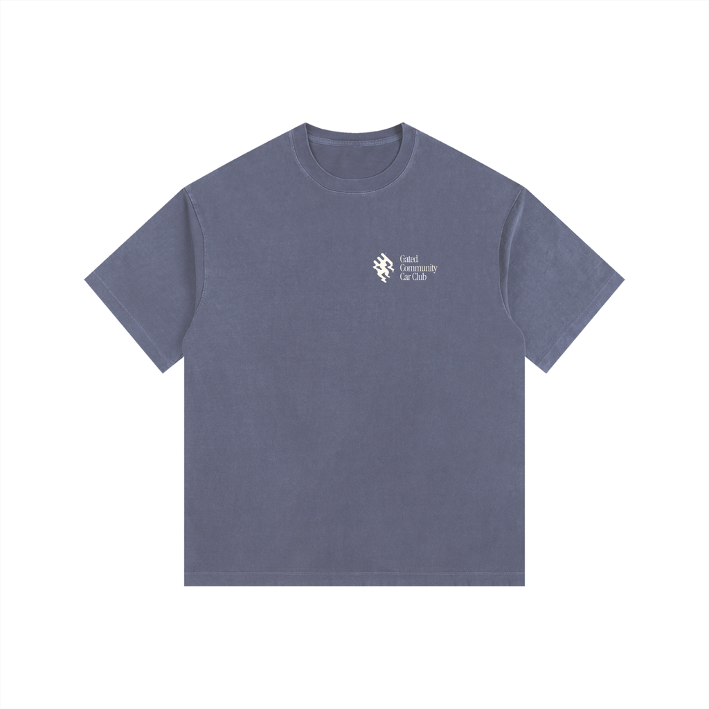 Vintage Washed "Did You Know" Tee - Light