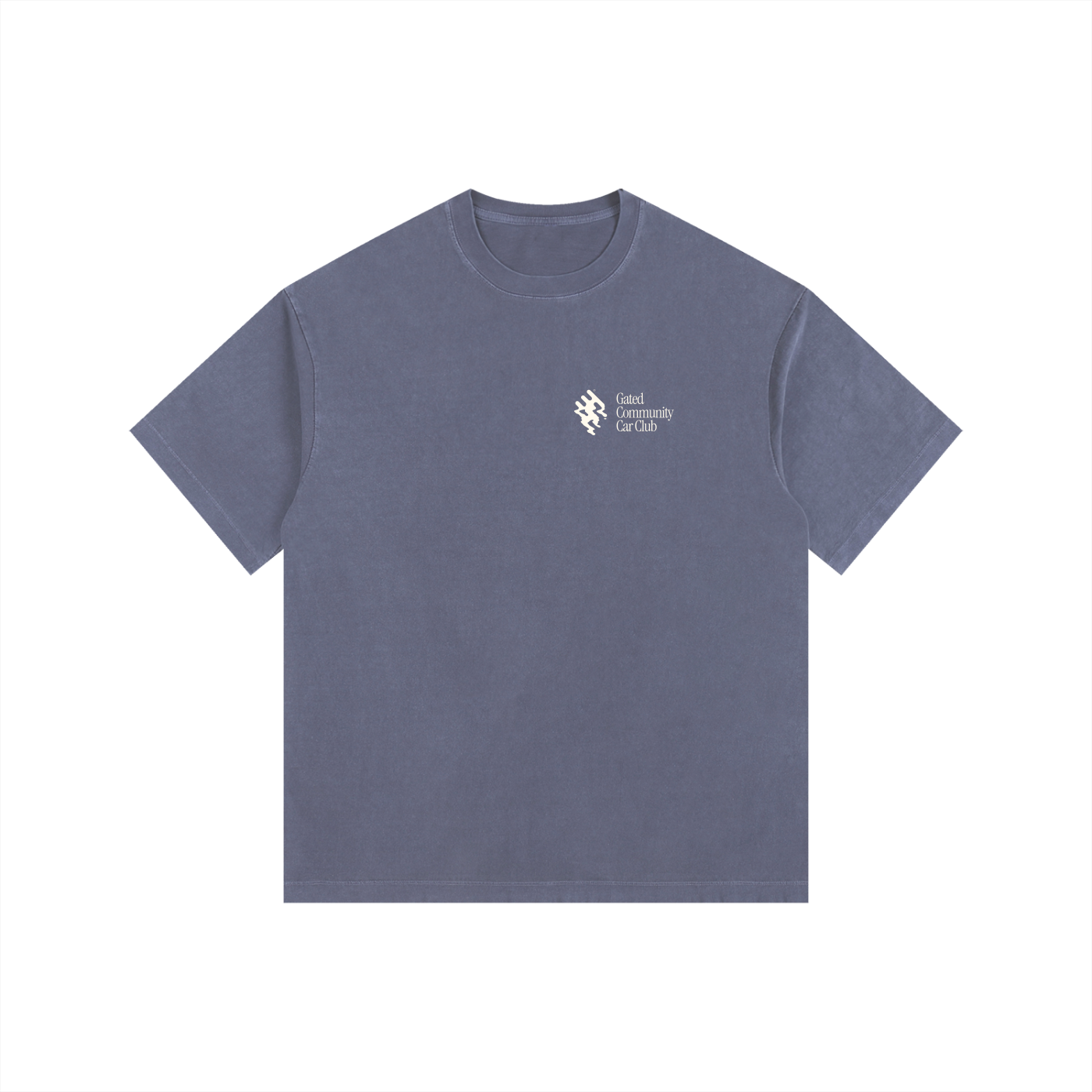Vintage Washed "Did You Know" Tee - Light