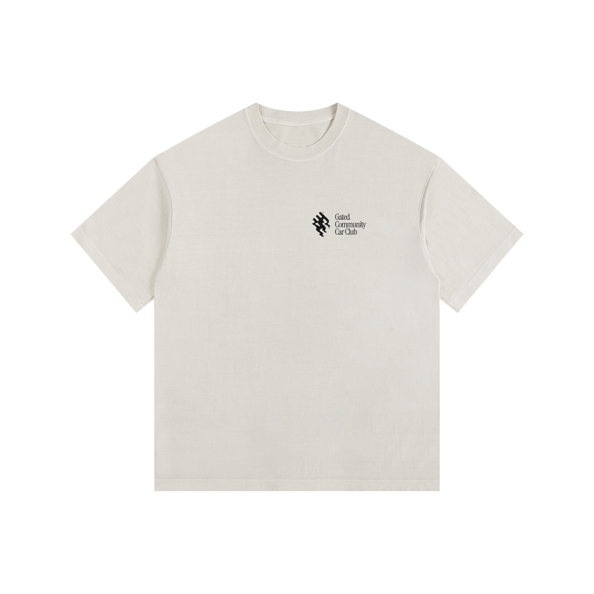 Vintage Washed "Did You Know" Tee - Dark